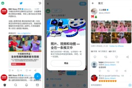 Twitter X v10.75.1 安卓绿化版