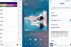 椒盐音乐/Salt Player v10.2.1 安卓版