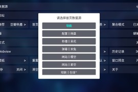 TVBox v2024.10.29 TV内置版