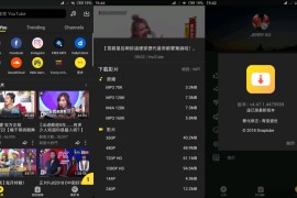 油管下载器Snaptube v7.30.0.73050210 安卓绿化版