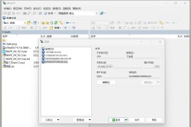 WinSCP 6.3.2 (SFTP客户端) 绿色版