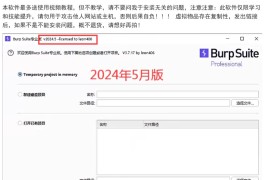  burpsuite2024 5月份汉化版 最新 完整版带JDK环境包 送字典教程