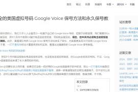 最新最全的 Google Voice 保号方法和永久保号教程