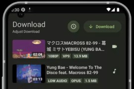 YTDLnis v1.8.1 安卓版