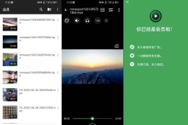 XPlayer v2.4.3.3 安卓绿化版