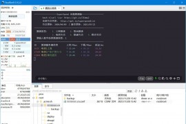 SSH工具客户端 FinalShell v4.0.1 破解高级版