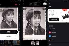 模糊人脸照片增强Remini v2.9.114 iOS绿化版