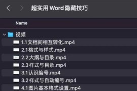 超实用Word隐藏技巧