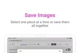 WEB Image Downloader v2.1.12 安卓绿化版