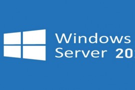 Windows Server 2022 21H2 (20348.2227)