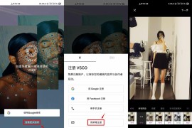 VSCO v359.0.1 iOS绿化版