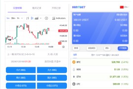 开源版海外双语言竞猜系统/虚拟币大小单双竞猜下注/USDT充值