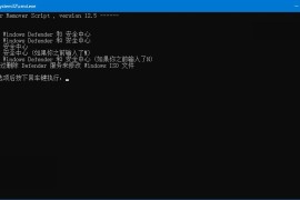 DefenderRemover 12.7.2.0 (删除Defender和安全中心) 单文件