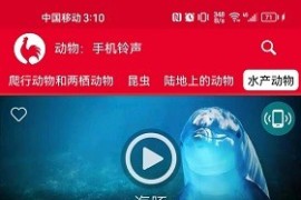 动物：手机铃声 v18.0 安卓绿化版