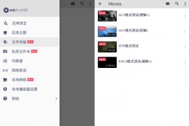 MX Player(MX播放器APP)1.74.7付费专业版