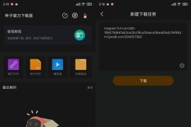 种子磁力下载器 v1.4.0 安卓绿化版