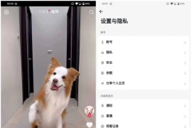 最新版TikTok 抖音国际版解锁版下载 v35.1.3 去广告 免拔卡