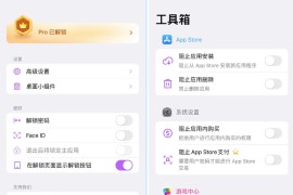 超级应用锁 1.0.1 Adbk