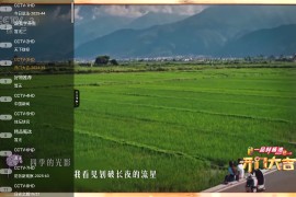 极速播TV v1.4.0-003 TV版