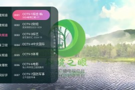 灵犀直播 v1.0.118 TV版