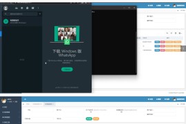 JAVA盗wsapp2.0版本