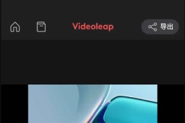 Videoleap v2.33