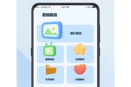 数据恢复 v2.0.3(141) 安卓绿化版