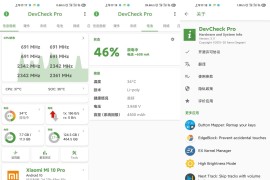 DevCheck v5.33 安卓绿化版