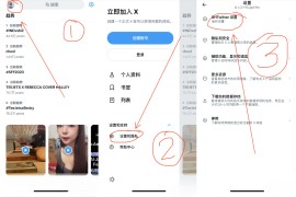 Twitter X v10.67 iOS绿化版