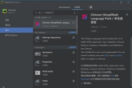 JetBrains中文语言包插件2023.3.x v233.287
