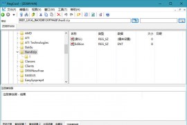 注册表编辑工具_RegCool v1.340_中文绿色版