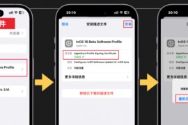 2024年最新iOS 17屏蔽系统更新方法，iPhone、iPad通用！