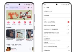 网易云App内置叼毛云模块v3.3.0，可解锁灰色下架歌曲！